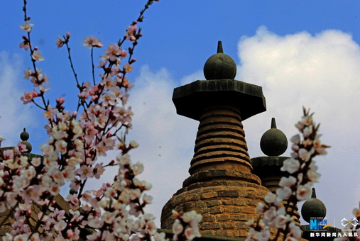 航拍中国现存大型古塔群